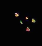 Gobo 946