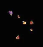 Gobo 948