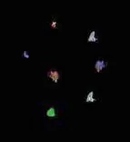 Gobo 950