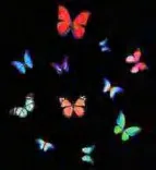 Gobo 958