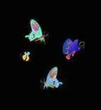 Gobo 966