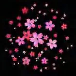 Gobo 973