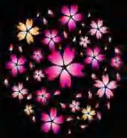 Gobo 974