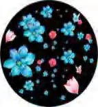 Gobo 976