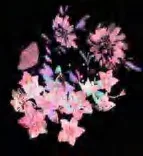 Gobo 980