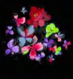 Gobo 981