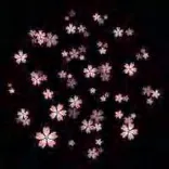Gobo 983
