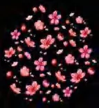 Gobo 984
