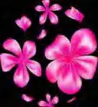 Gobo 986