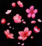 Gobo 987