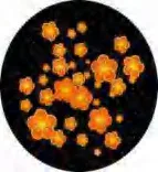 Gobo 992