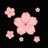 Gobo 993