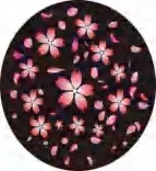 Gobo 996