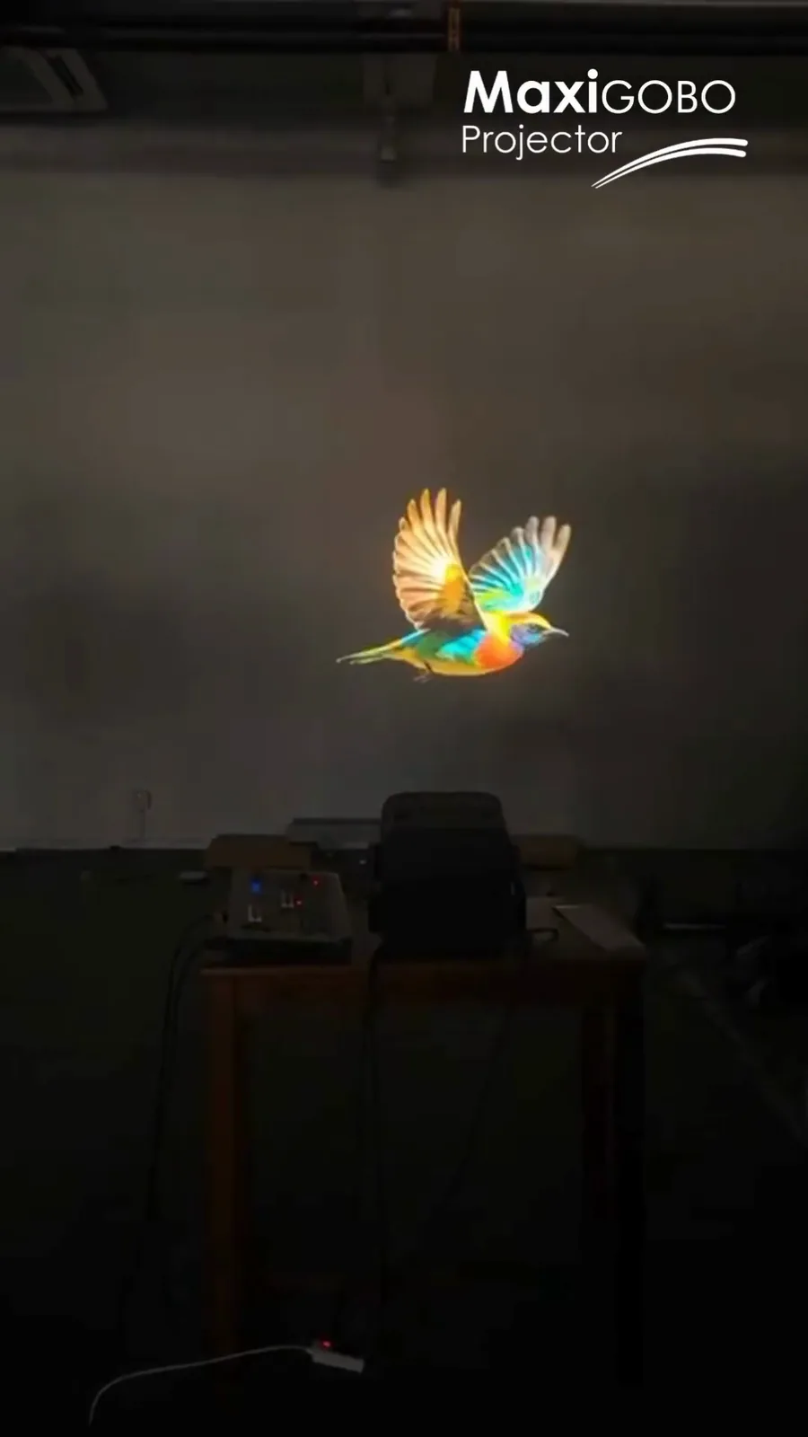 QUAD bird projection — signage
